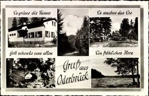 Ak Oderbrück Braunlage im Oberharz, Pension, Partie am Wasser, Berge