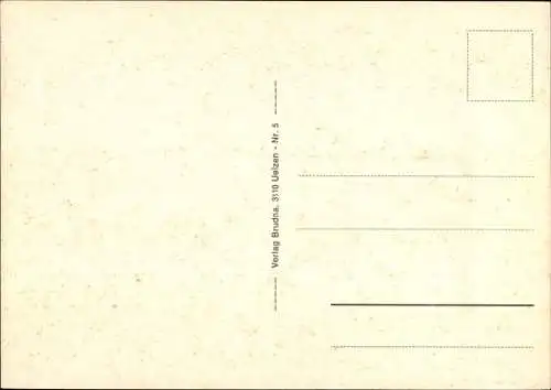 Ak Uelzen in Niedersachsen, Straßenansicht, Gebäude, Gewässer