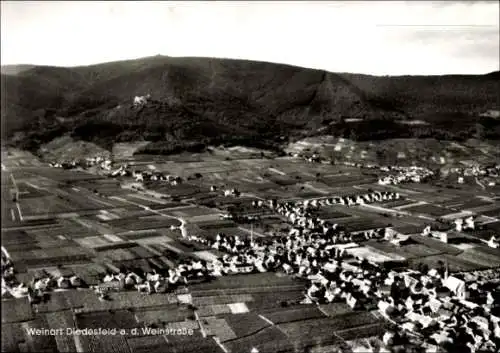 Ak Diedesfeld Neustadt an der Weinstraße, Luftaufnahme von Diedesfeld, Weinberge, Natur, foto