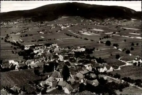Ak Flemlingen an der Weinstraße Pfalz, Landschaft mit Weinbergen, Dorfansicht, Berg im Hintergrun