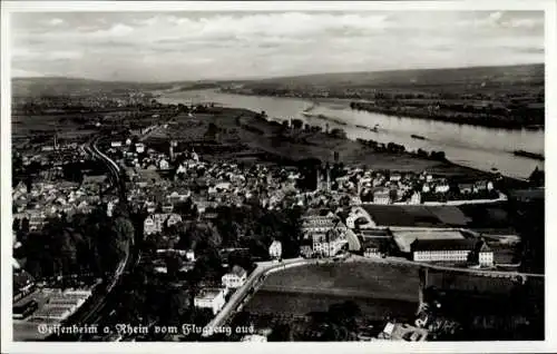 Ak Geisenheim am Rhein Hessen, Luftaufnahme, Rhein, Stadtansicht, Schwarz-Weiß