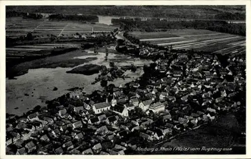 Ak Neuburg am Rhein Pfalz, Luftaufnahme