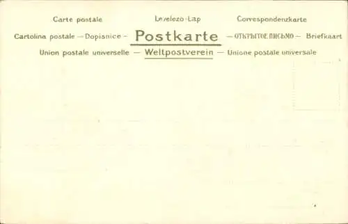 Litho Zwei Hunde, Bulldogge, Terrier auf einem Kissen