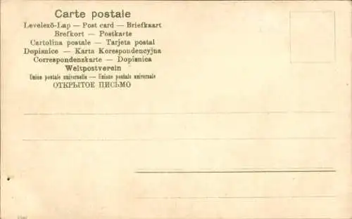 Litho Katze und Frosch, Blumentopf, Blumen