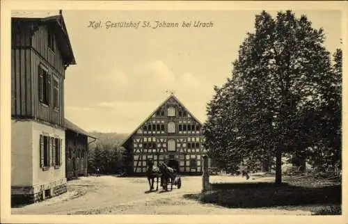 Ak St. Johann Schwäbische Alb Württemberg, Gestütshof