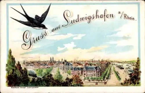Litho Ludwigshafen am Rhein, Stadt aus der Vogelschau gesehen, Schwalbe
