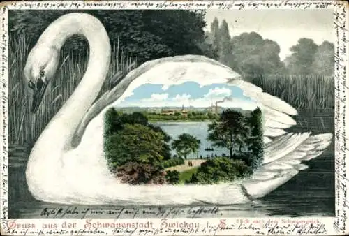 Litho Zwickau in Sachsen, Schwanenteich