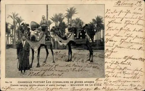 Ak Syrien, Kamelreiter, MSP No. 41, SMS Stein, 41.2.9