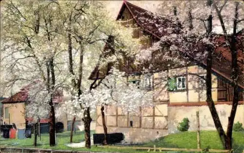 Ak Nenke & Ostermaier Nr. 1204, Loschwitz, Altes Fährgut