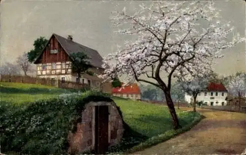 Ak Nenke & Ostermaier Serie 294 Nr. 4508, Baumblüte