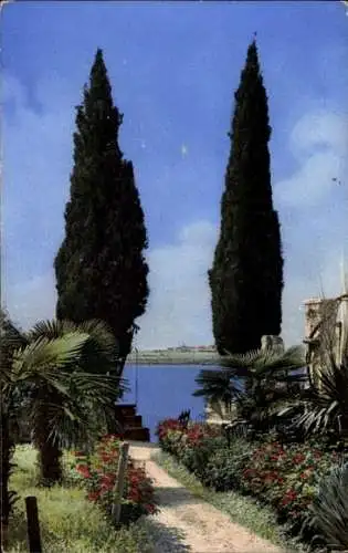 Ak Nenke & Ostermaier Serie 70 Nr. 1833, Gardasee, Vegetationsbild aus Gordone