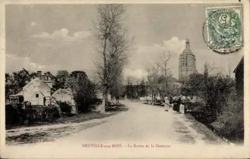 Ak Neuville aux Bois Loiret, Route de la Domuze