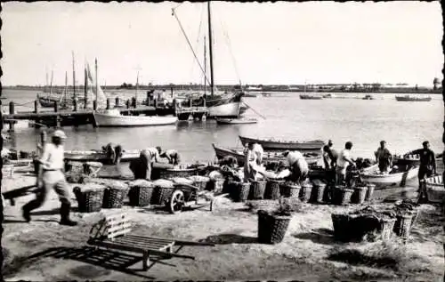 Ak L'Aiguillon sur Mer Vendee, Hafen, Arrivee des Pecheurs de moules