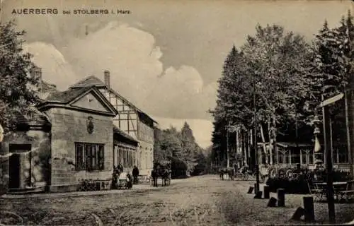 Ak Stolberg im Harz, Großer Auerberg, Josephshöhe, Auerberg, Gebäude, Bäume, Landschaft, Pferde, 