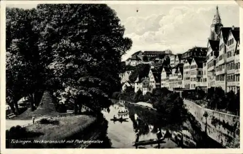 Ak Tübingen am Neckar, Neckaransicht, Platanenallee,  Gebäude, Boote auf dem Wasser