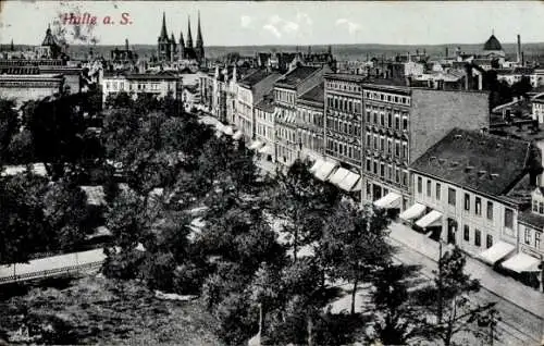 Ak Halle an der Saale, Historische Ansicht, Stadtansicht mit Bäumen und Gebäuden, Türme im Hinter