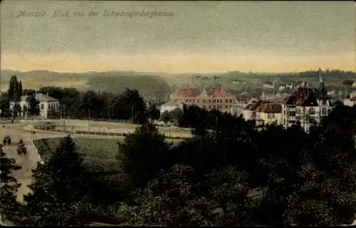Ak Meerane in Sachsen, Blick von der Schwanefelderstraße, Stadtansicht mit Gebäuden, Bäume, Pferd
