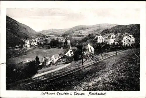 Ak Eppstein im Taunus, Fischbachtal