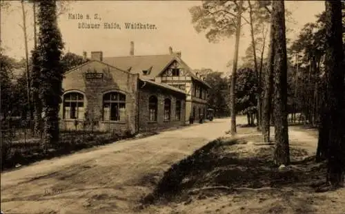 Ak Dölauer Heide Halle an der Saale, Bilder von Dölauer Halde, Waldkater, s Gebäude, natürliche U