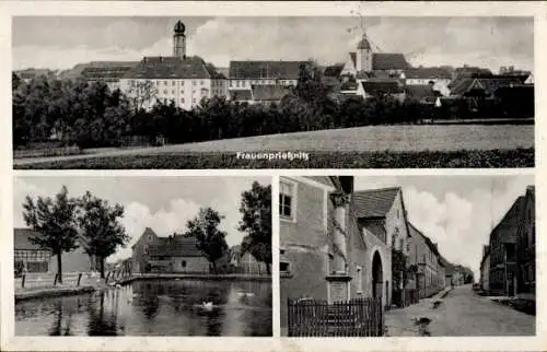 Ak Frauenprießnitz in Thüringen, Blick auf den Ort, Strassenansicht, Teich
