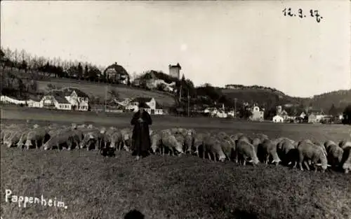 Foto Ak Pappenheim im Altmühltal Mittelfranken, Schafherde, Mann mit Hund,