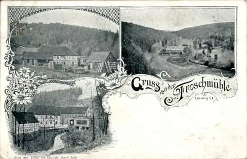 Ak Eisenberg in Thüringen, Gruss von der Trzschmühle, Landschaftsaufnahme, alte Gebäude