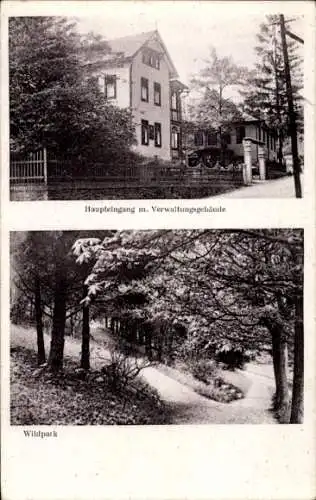 Ak Mellenbach Glasbach im Schwarzatal Thüringen, Bad Finkenmühle, Erholungsheim, Wildpark
