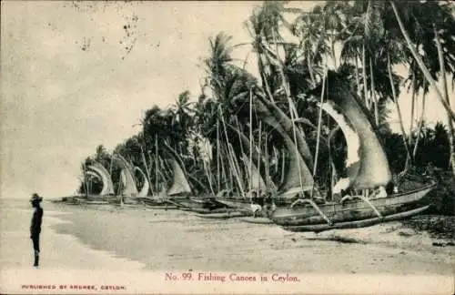Ak Ceylon Sri Lanka, Fischerkanus,  Palmen, Strand, historisch