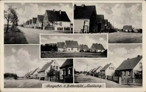 Ak Raguhn in Anhalt, Siedlung mit Häusern, Straße, Bäume, Wolken am Himmel