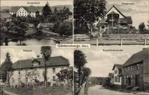 Ak Güntersberge Harzgerode am Harz, Vier Ansichten von  Häuser, Harz, Kinderheim, Rathaus, Sipten