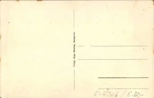 Ak Harzgerode am Harz, Stadtansicht, Unterstraße,  Gebäude, Personen auf der Straße