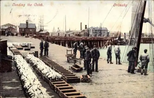 Ak Grimsby Lincolnshire England, Landing the Catch