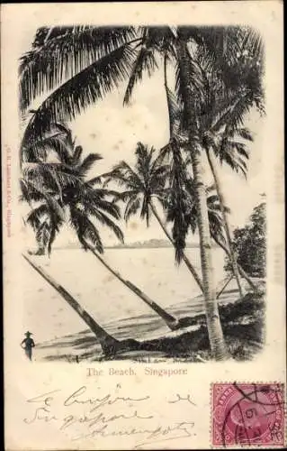 Ak Singapore Singapur, Partie am Strand mit Palmen
