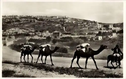 Ak Nazaret Nazareth Israel, Kamele, Wanderer, Landschaft,  Stadt, Schwarz-Weiß-Fotografie