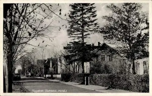 Ak Eggebek Kreis Flensburg, Straßenpartie