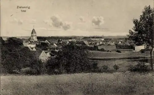 Ak Sulęcin Zielenzig Ostbrandenburg, Totale