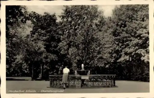 Ak Altheide Ribnitz Damgarten Mecklenburg Vorpommern, Brunnen, Bäume, Person, Schriftzug 'Herzhei