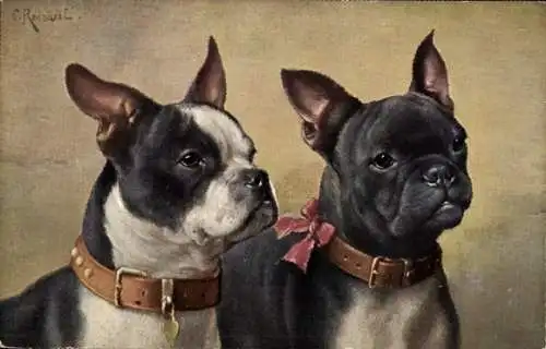 Künstler Ak Reichert, C., Zwei Französische Bulldoggen