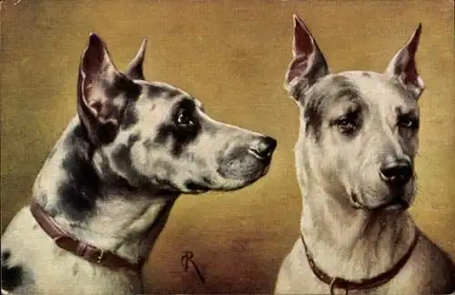 Künstler Ak Tigerdoggen, Hundeportrait