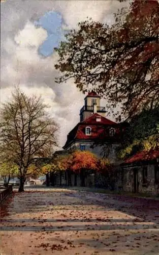 Ak Nenke & Ostermaier Serie 266 Nr 4170, Herbst, Elbe bei Dresden, Anton's