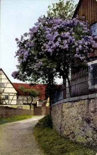 Ak Nenke & Ostermaier Serie 328 Nr. 4900, Flieder