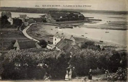 Ak Île aux Moines Morbihan, Landschaftsblick,  Le Lairiot und Bois d'Amour