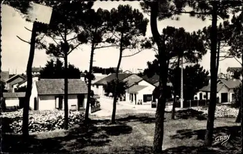 Ak Fromentine Vendee, Groupe de Villas dans les pins