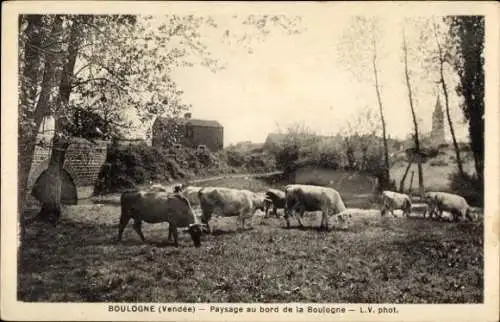 Ak Boulogne Vendee, Paysage au bord de la Boulogne