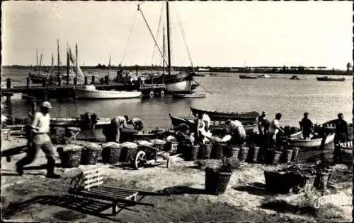 Ak l'Aiguillon sur Mer Vendee, Arrivee des pecheurs de Moules, Hafen