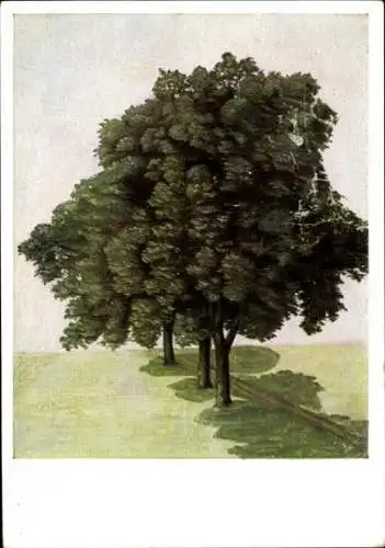 Künstler Ak Dürer, Albrecht, Drei Linden