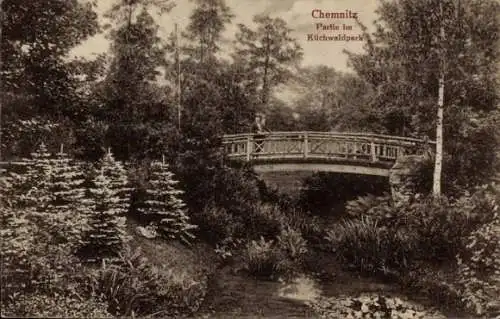 Ak Chemnitz in Sachsen, Küchwaldpark, Brücke, Mensch im Hintergrund, Natur, Bäume