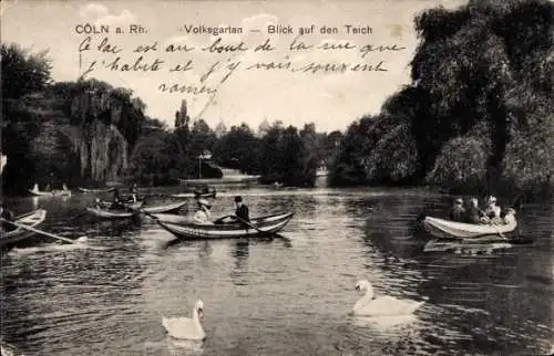 Ak Köln am Rhein, Volksgarten, Teich, Ruderboote, Schwäne