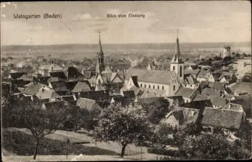 Ak Weingarten in Baden,  Blick vom Eissberg, Stadtansicht, Kirchtürme, ländliche Umgebung