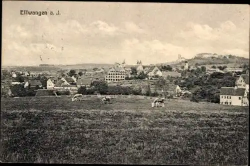 Ak Ellwangen an der Jagst Württemberg, Aussicht auf  ländliche Szenerie, Kühe auf der Wiese